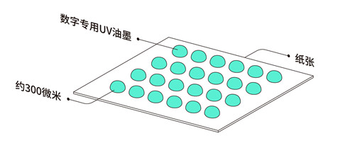 苏州印刷